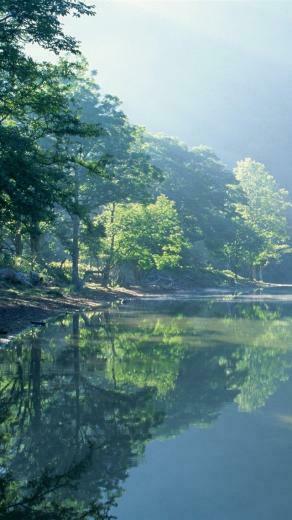 Wallpaper Lakeshore Lake Trees Sun Rays Morning HD