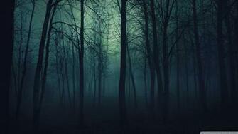 Dark Forest HD Desktop Wallpaper High Definition Fullscreen