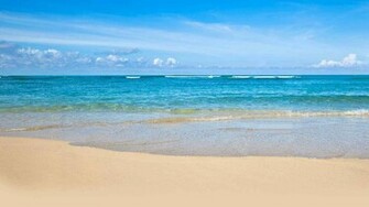 Flights To Hawaii Vacations Travel Hawaiian Airlines