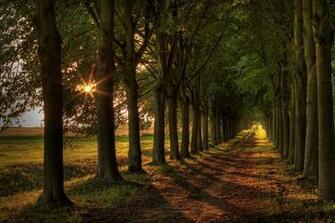 Path HD Wallpaper Background Image Id