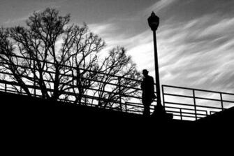 Film Noir By Liberty