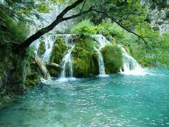 Cool Spring Background