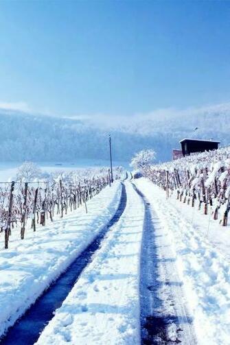 Snow Road iPhone 4s Wallpaper iPad