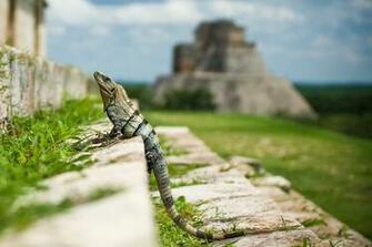 Uxmal Yucatan Ruinas Mexico Pictures