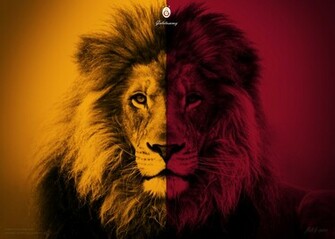 Galatasaray Aslan By Drifter765