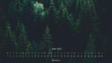 June Calendar Wallpaper Desktop Mobile