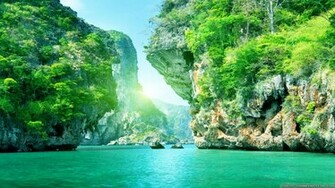 Summer Nature HD Wallpaper