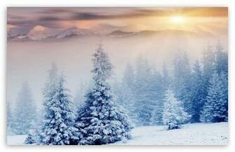 Winter HD Desktop Wallpaper Widescreen High Definition