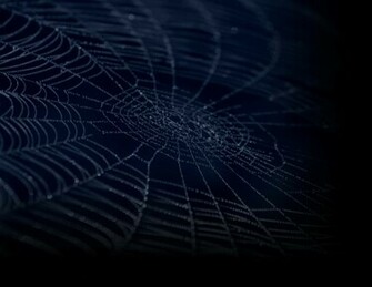 Blue Spider Web Background Displaying Image For
