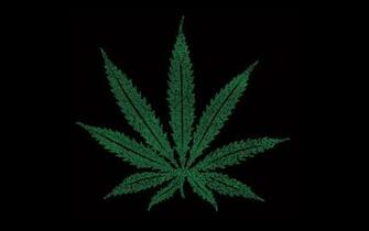 3d Wallpaper Feuille De Cannabis Sur Les Lettres Feuilles