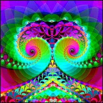 Magic Mushrooms Wallpaper Another Mushroom By