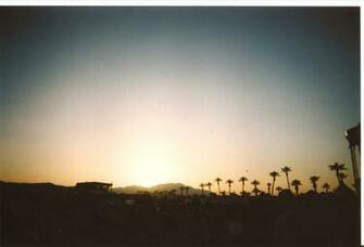 Thread Coachella Desktop Wallpaper