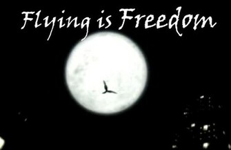 Maximum Ride Wallpaper