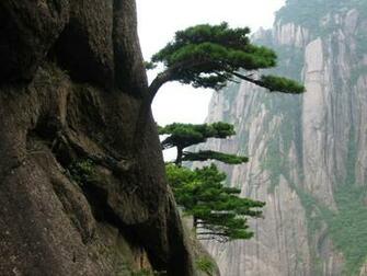 Tao Te Ching Verse Being At One With The