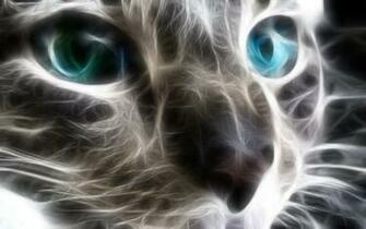 Blue Eyes Wallpaper And Background Id