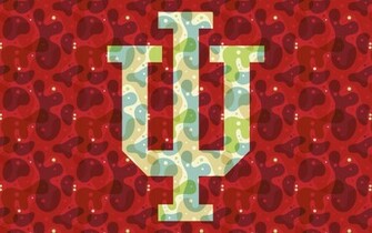 Indiana Wallpaper Picswallpaper