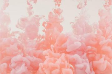 Pink And White Floral Illustration Photo Image