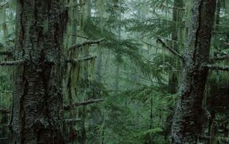 Sombre For T Envahie Wallpaper