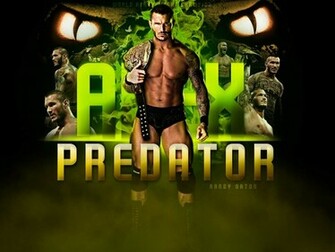 Wwe Randy Orton HD New Wallpaper All Sports Players