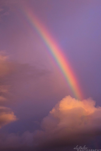 Rainbow Aesthetic Wallpaper