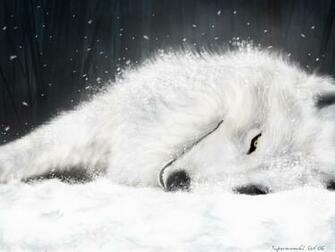 White Wolf Wolves Wallpaper