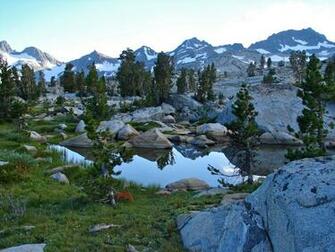 Wilderness Diary Of An Undisciplined Mind
