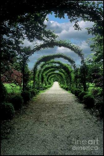 In My Dreams S Feeling Specal Yet