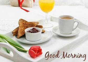 Good Morning Tea Flowers Nice Pictures HD Wallpaper Rocks