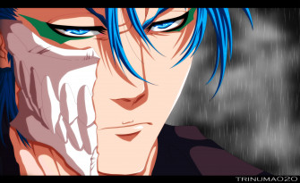 Grimmjow JaegerjaquezHD Wallpaper