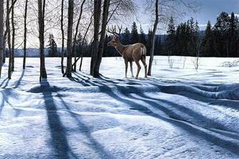 Landscape Deer Winter Snow Wallpaper Background