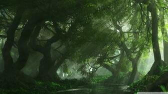 Beautiful Forest Lake Wallpaper