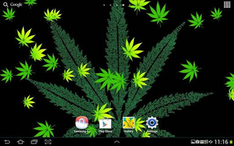 Weeds Wallpaper Weed Live