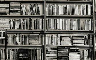 Library Books Shelf Wallpaper