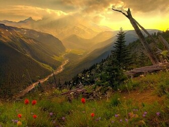 Nice Nature Wallpaper New Vista Istartedsomething