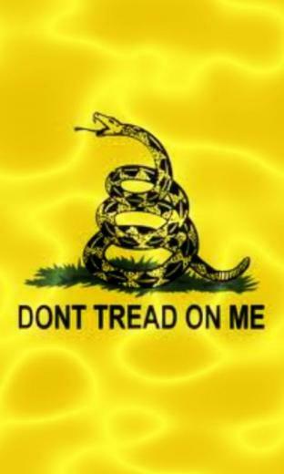 Don T Tread On Me Lwp Screenshot