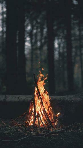 Nature Landscape Portrait Display Wood Fire Branch Trees