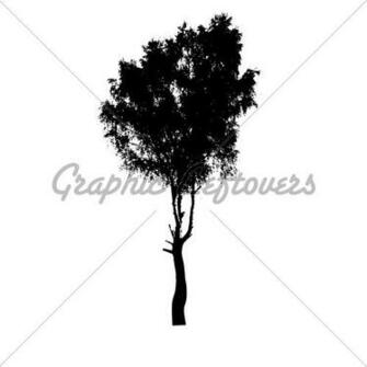 Silhouette Of The Birch Isolated On White Background Gl Stock
