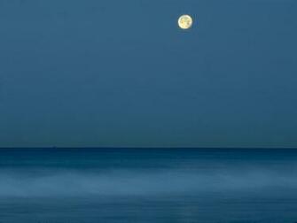 Desktop Background Animal Life Nature Full Moon Over Calm Ocean