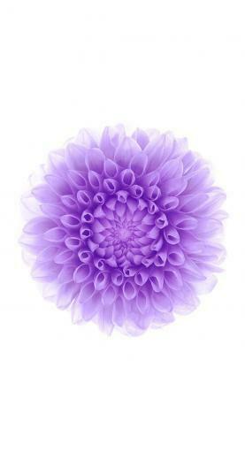 The Official Ios Wallpaper These Are Eleganttech Egis
