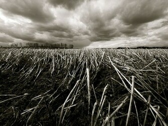 White Screen Wallpaper High Definition