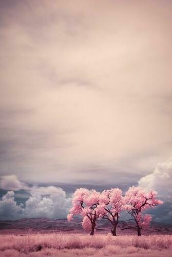 Discover And Save Creative Ideas