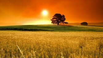 Wallpaper Nice Pictures For Desktop HD Background