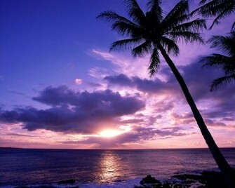 Tropical Beach Sunset Wallpaper