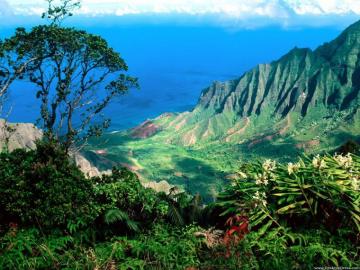 Desktop Wallpaper Natural Background Kalalau