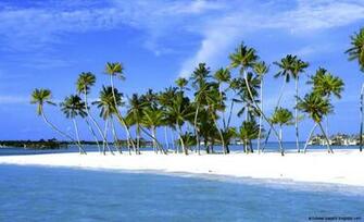 Desktop Wallpaper Nature Beach HD Background