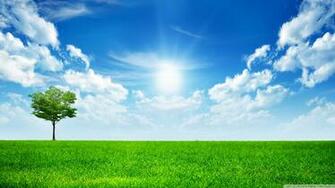 Nature S HD Wallpaper