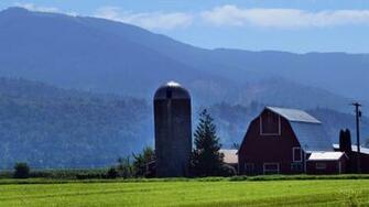 Country Farm Wallpaper