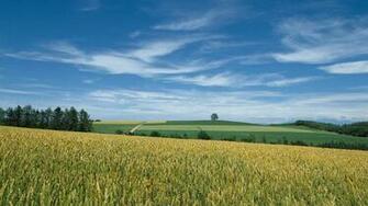HD Widescreen Wallpaper Right Click The Select Set As