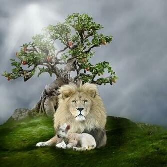 The Lion And Lamb By Elchanan
