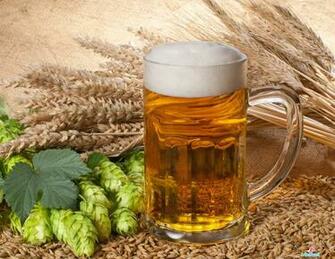 Beer Desktop Wallpaper Pictures Image